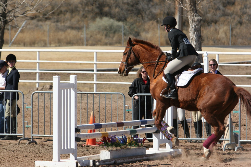 alex/nmsu_d2_fence///////////////////////////////////////////////////////////////nmsu_fence_d2_0094.jpg