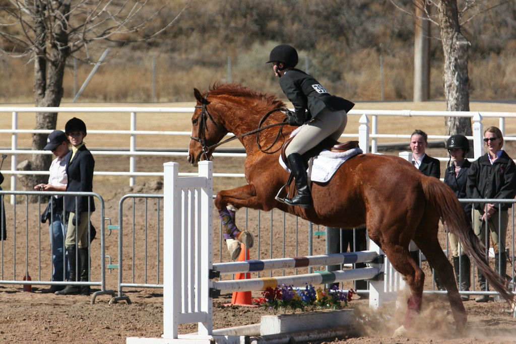 alex/nmsu_d2_fence//////nmsu_fence_d2_0095.jpg