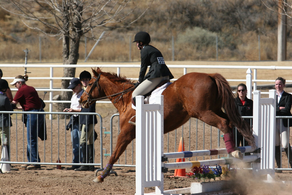 alex/nmsu_d2_fence////////////////////////////nmsu_fence_d2_0096.jpg