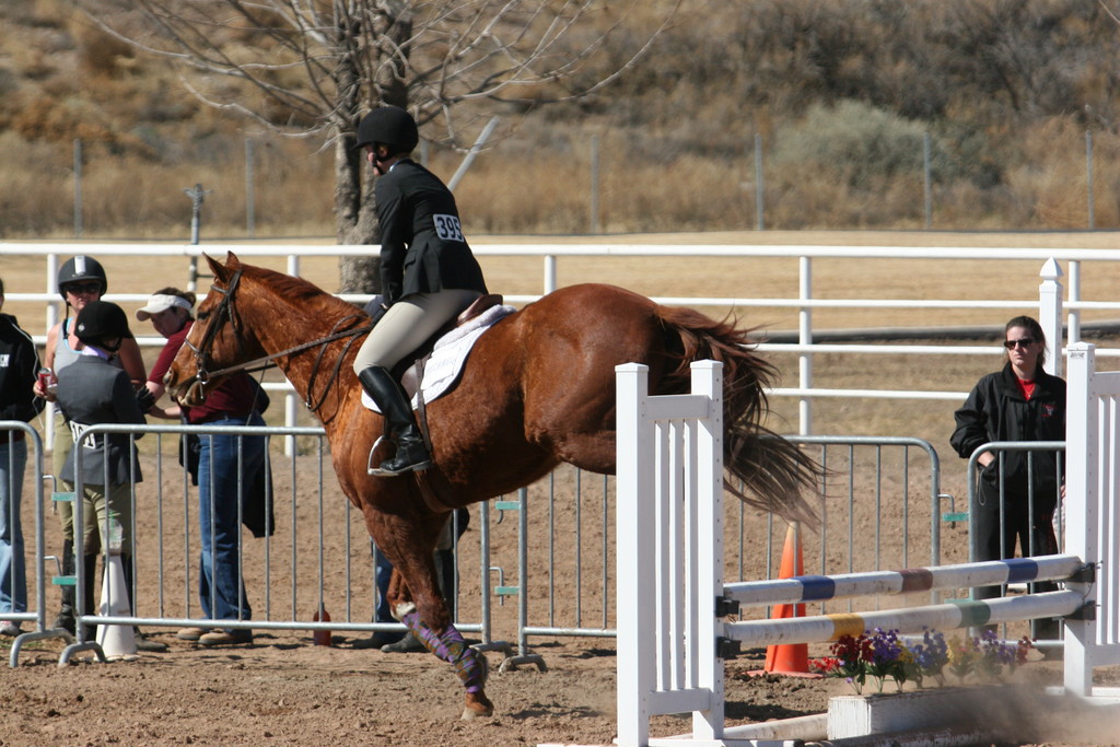 alex/nmsu_d2_fence///////////nmsu_fence_d2_0097.jpg