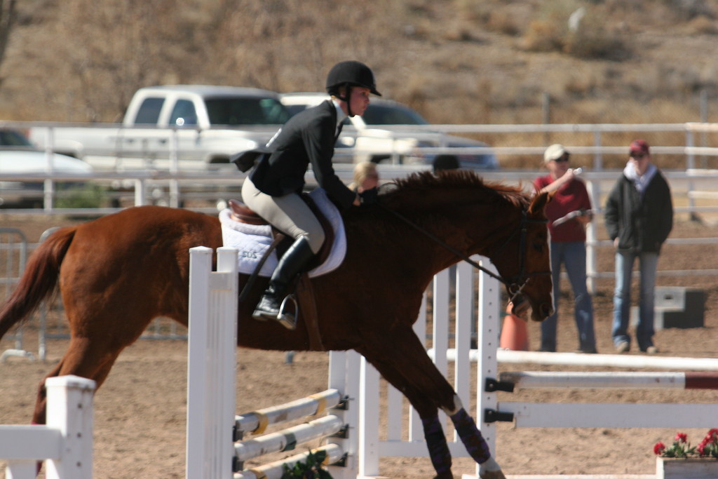 alex/nmsu_d2_fence///////////////////////////////////////////////////////////////nmsu_fence_d2_0098.jpg