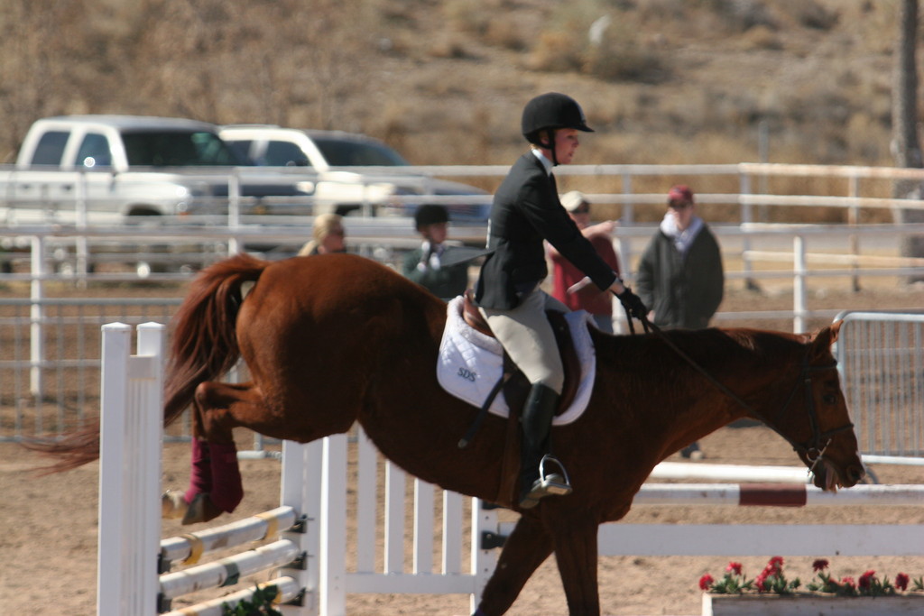 alex/nmsu_d2_fence///////////nmsu_fence_d2_0099.jpg