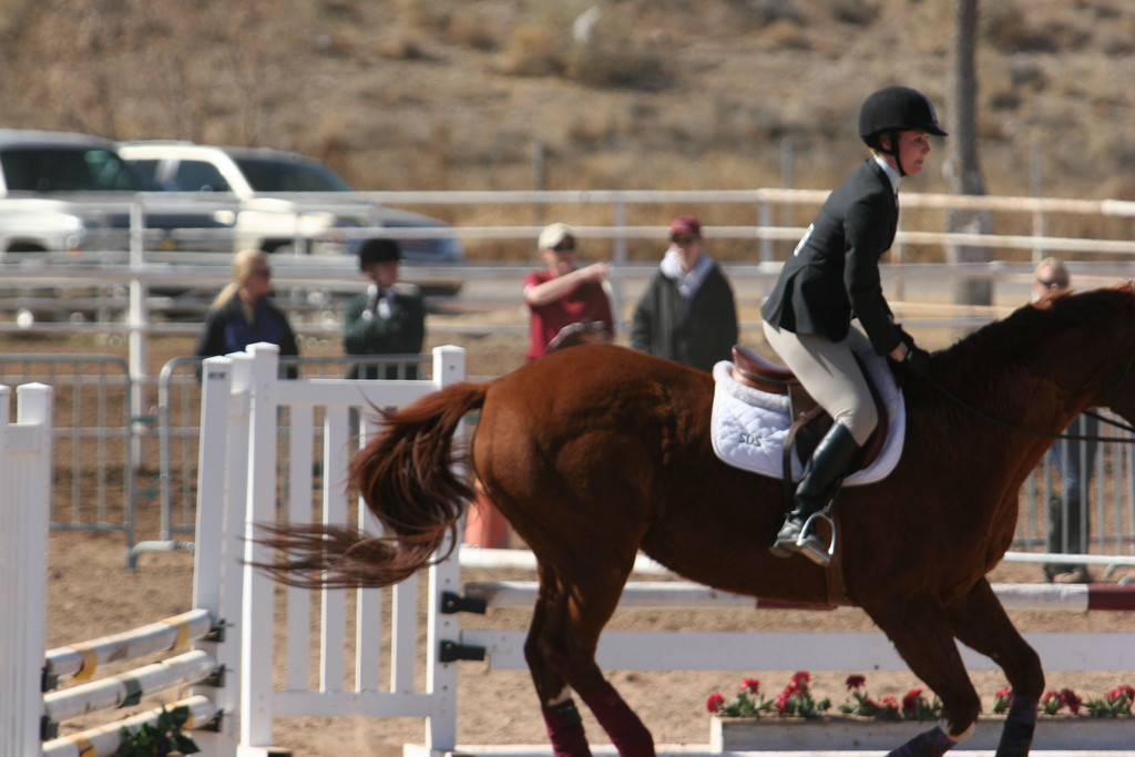 alex/nmsu_d2_fence///////////////////////////////////////////////////////////////////////////////////////////////////////////////////////////nmsu_fence_d2_0100.jpg