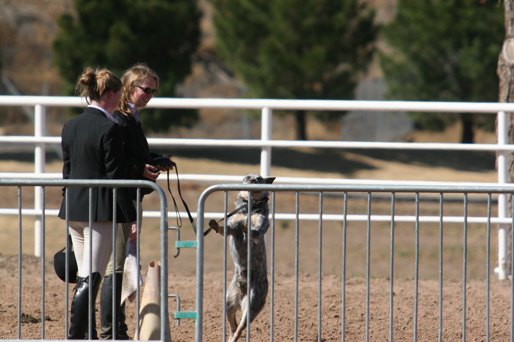 alex/nmsu_d2_fence//////////////////////////////////nmsu_fence_d2_0107.jpg