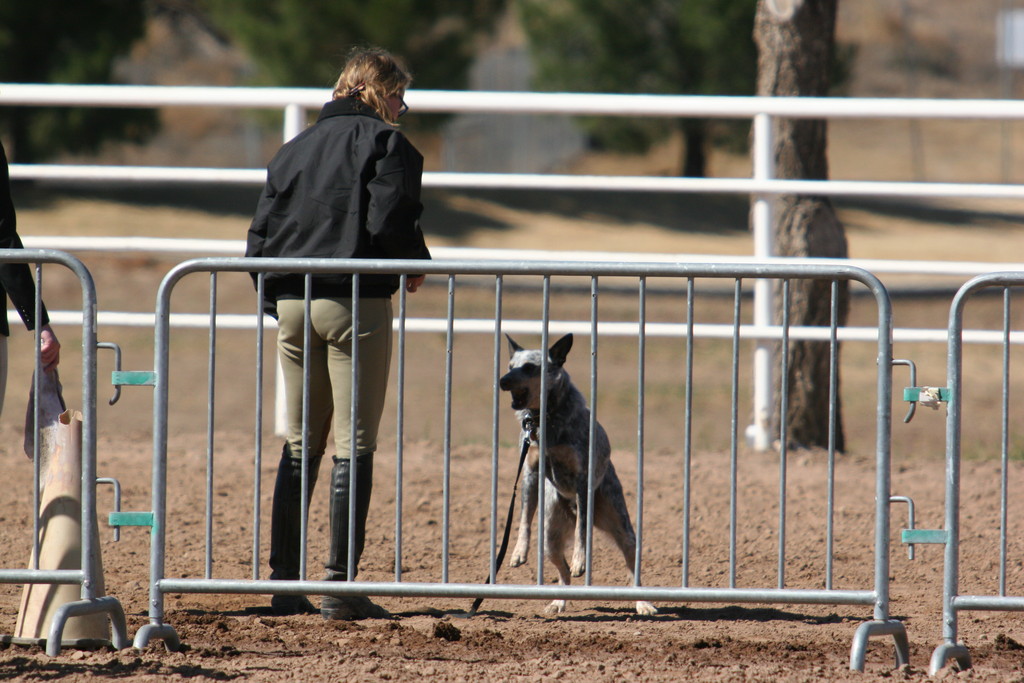 alex/nmsu_d2_fence//////////////////////////////////////////////////////////////////////////nmsu_fence_d2_0110.jpg