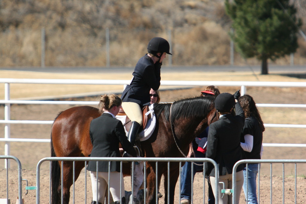 alex/nmsu_d2_fence////////////////////////////////////nmsu_fence_d2_0111.jpg