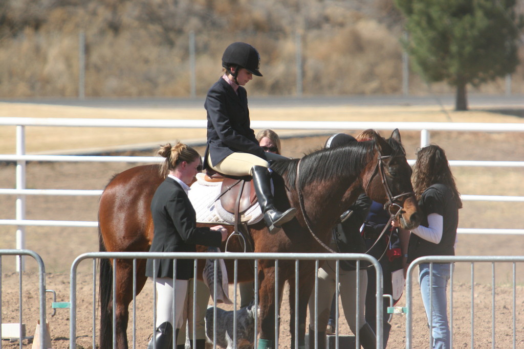 alex/nmsu_d2_fence///////////nmsu_fence_d2_0112.jpg