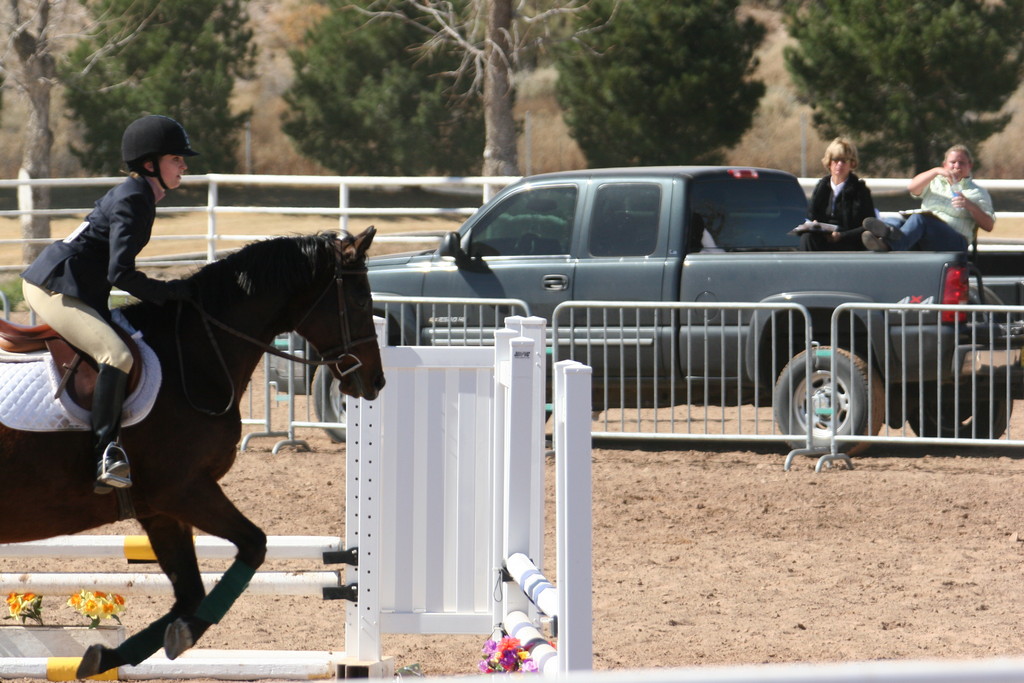 alex/nmsu_d2_fence///////////////////////////////////////////////////////////////nmsu_fence_d2_0113.jpg