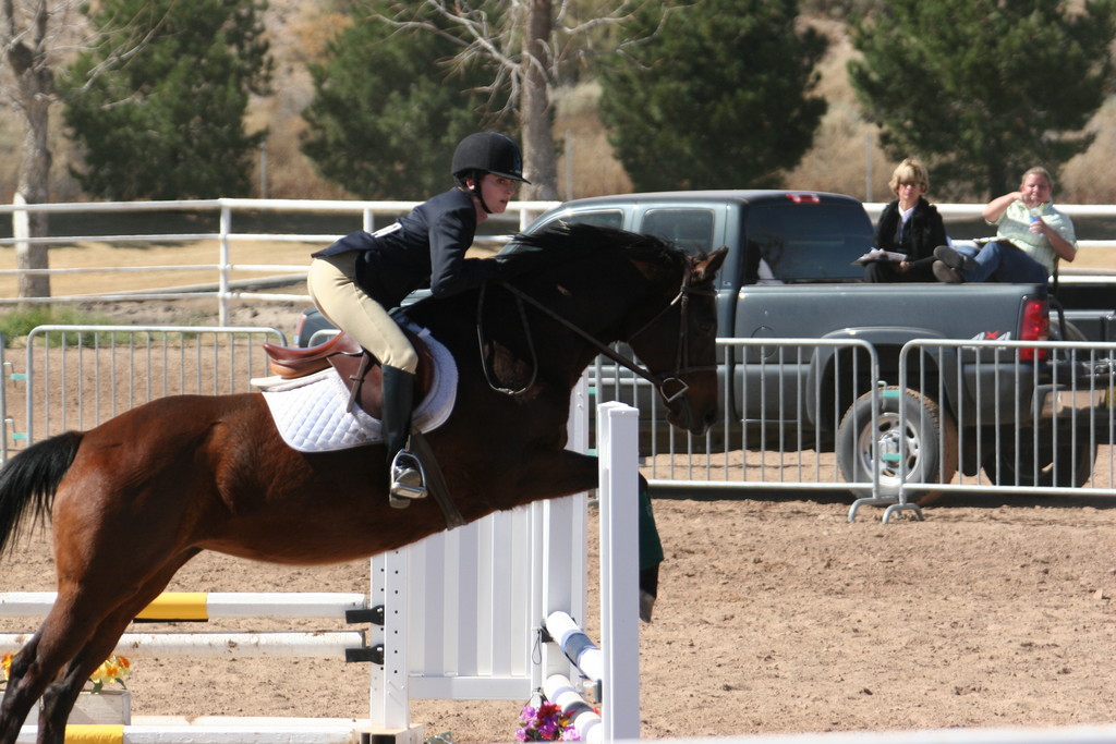 alex/nmsu_d2_fence////////////////////////////////////////////////////////////////nmsu_fence_d2_0114.jpg