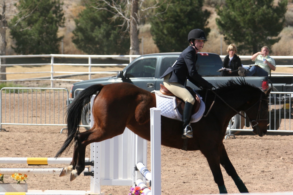 alex/nmsu_d2_fence///////////////////////////////////////nmsu_fence_d2_0115.jpg