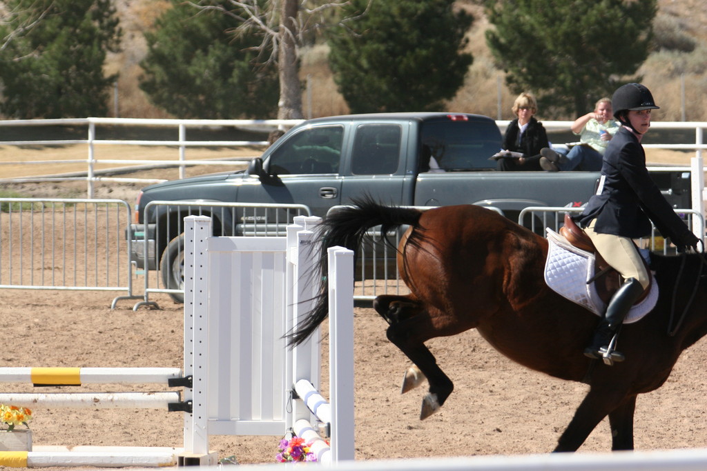 alex/nmsu_d2_fence/////////////////nmsu_fence_d2_0116.jpg