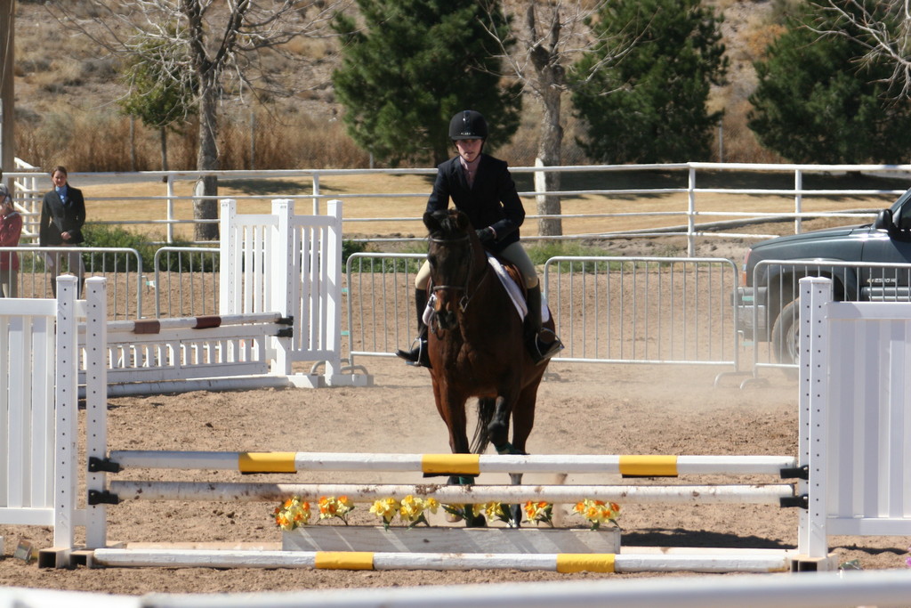 alex/nmsu_d2_fence//////////////////////////////////////////////////nmsu_fence_d2_0119.jpg