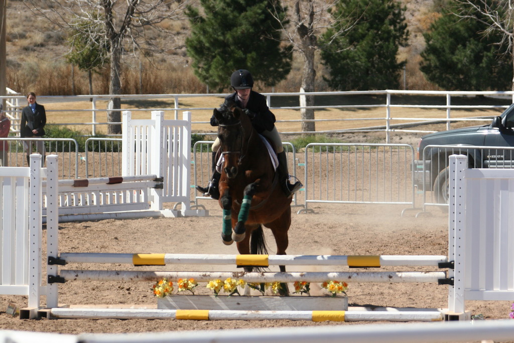 alex/nmsu_d2_fence///////////////////////////////////////////////nmsu_fence_d2_0120.jpg