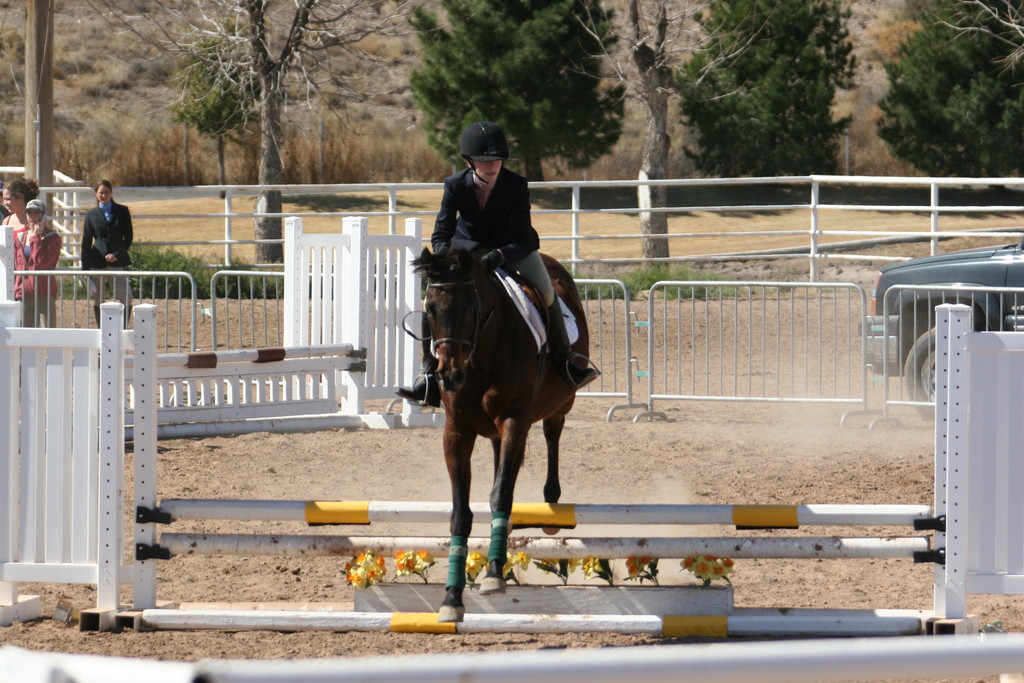 alex/nmsu_d2_fence////////////////////////////////////////////////////////////nmsu_fence_d2_0121.jpg