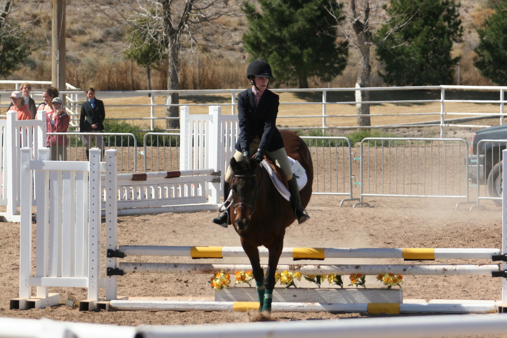 alex/nmsu_d2_fence///////////////////////////nmsu_fence_d2_0122.jpg