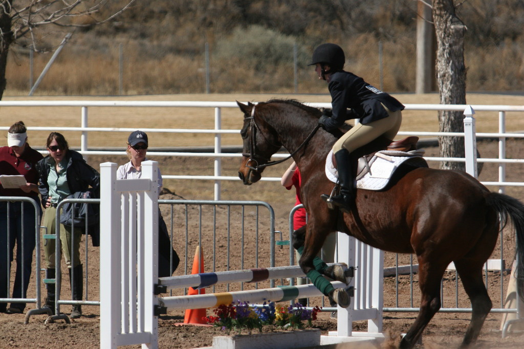 alex/nmsu_d2_fence//////////////////////////nmsu_fence_d2_0123.jpg