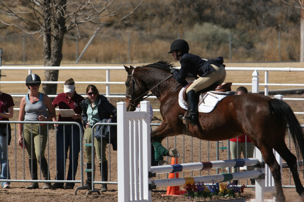 alex/nmsu_d2_fence///////////////////////////////////////////////////////////////nmsu_fence_d2_0124.jpg