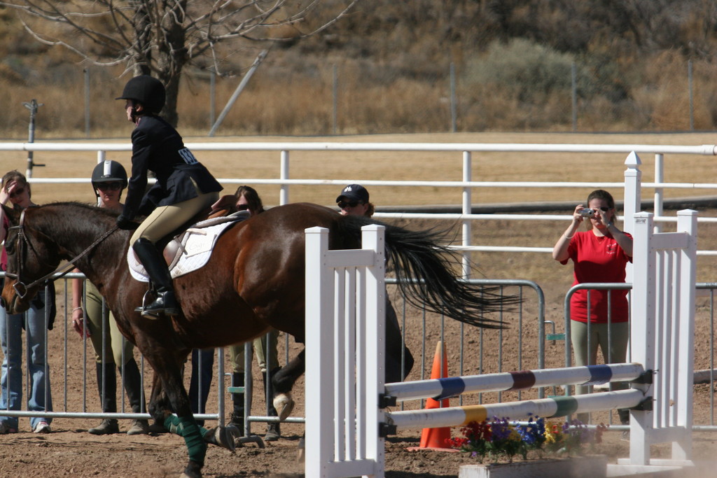 alex/nmsu_d2_fence//////////////////////////////////nmsu_fence_d2_0126.jpg