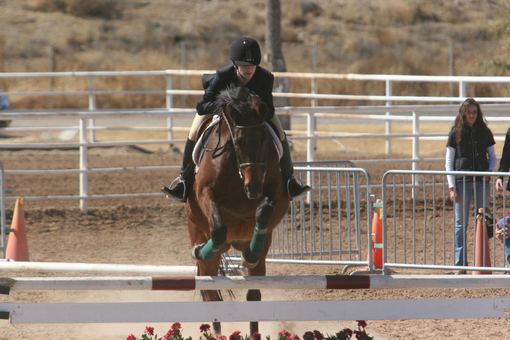 alex/nmsu_d2_fence///////////////////////////////////nmsu_fence_d2_0128.jpg