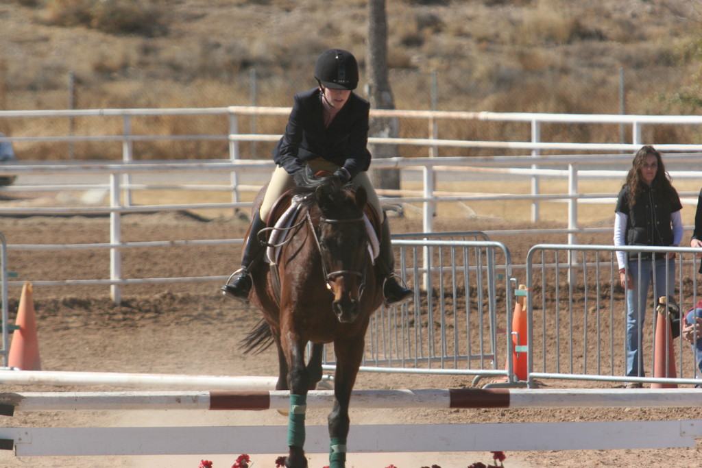 alex/nmsu_d2_fence//////////////////////////////nmsu_fence_d2_0129.jpg