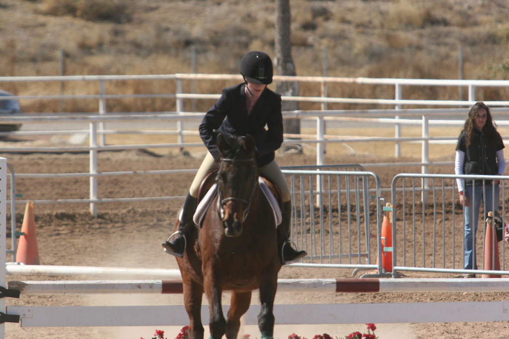 alex/nmsu_d2_fence//////////////////////////////////////////////////////nmsu_fence_d2_0131.jpg