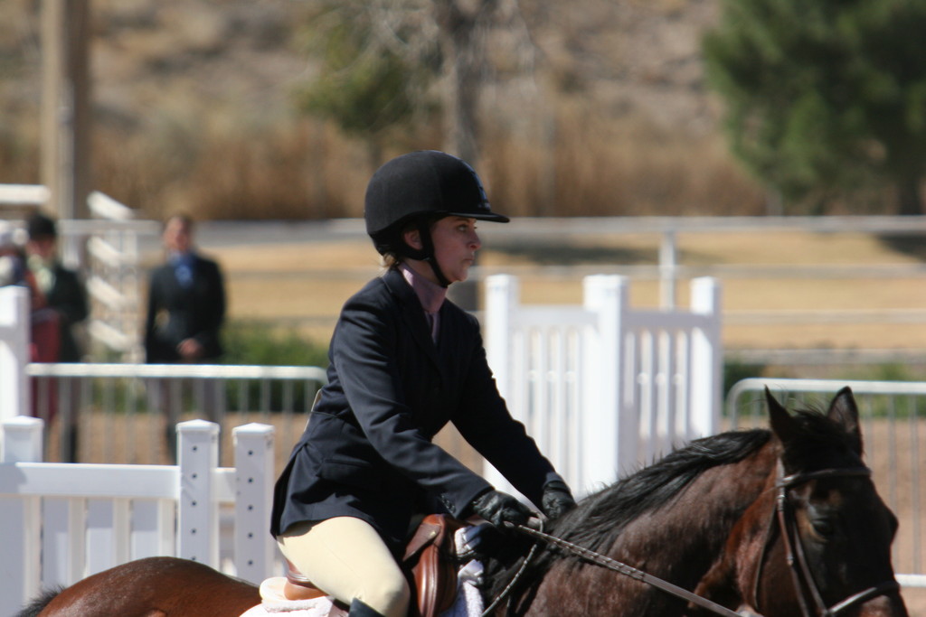 alex/nmsu_d2_fence///////////////////////////////////////////////////////////////////////////////////////////////////////nmsu_fence_d2_0132.jpg