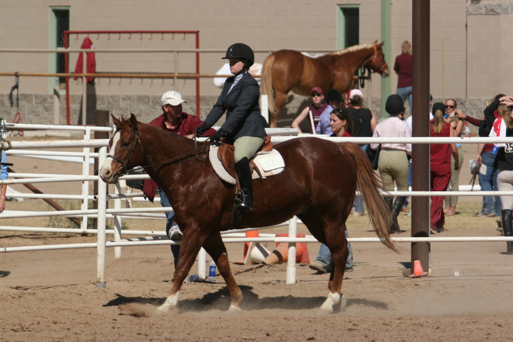 alex/nmsu_d2_flat/nmsu_flat_d2_0273.jpg