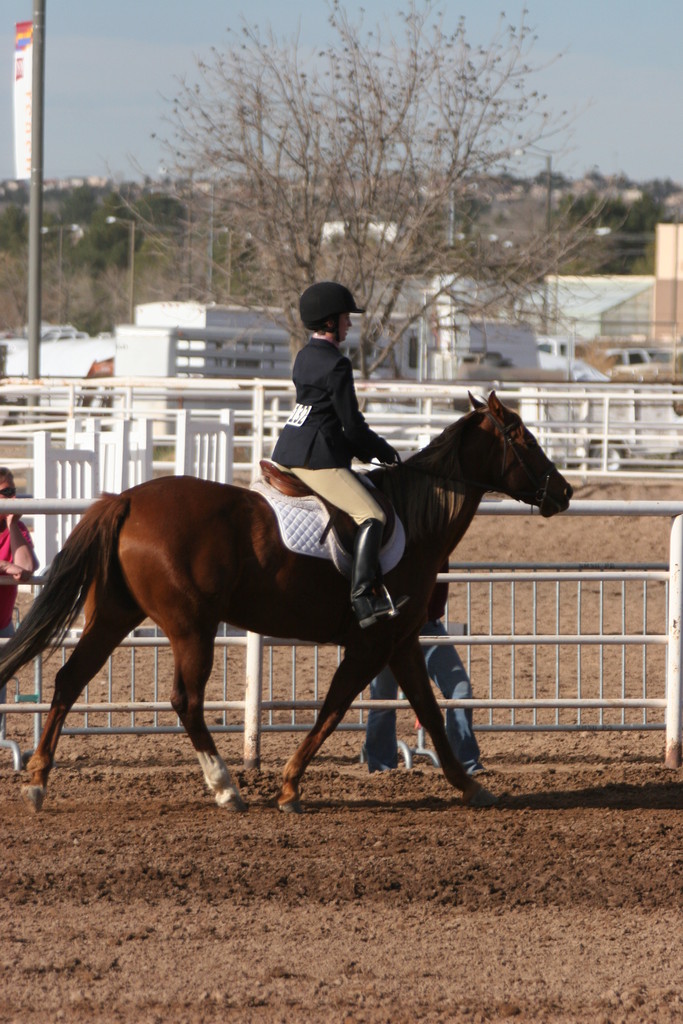 alex/nmsu_d2_flat//nmsu_flat_d2_0323.jpg