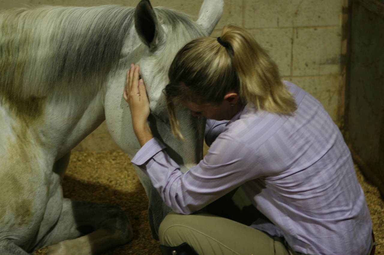 pictures/HorseShows/WacoJune2008/IMG_9842.jpg