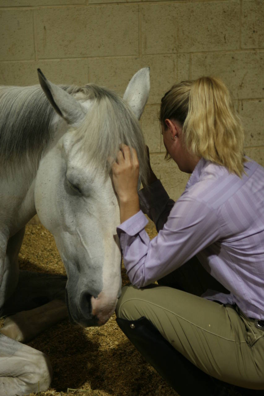 pictures/HorseShows/WacoJune2008/IMG_9843.jpg