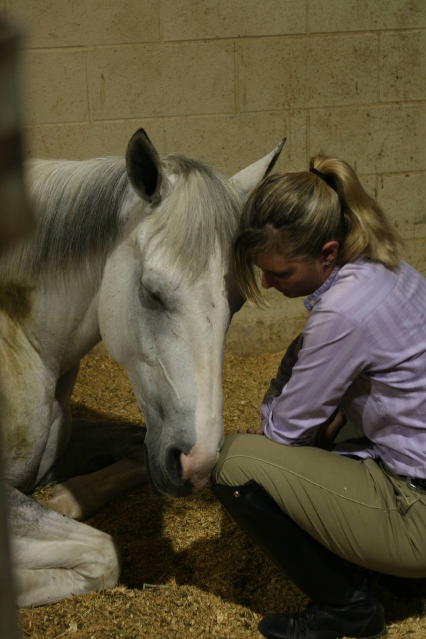 pictures/HorseShows/WacoJune2008/IMG_9844.jpg