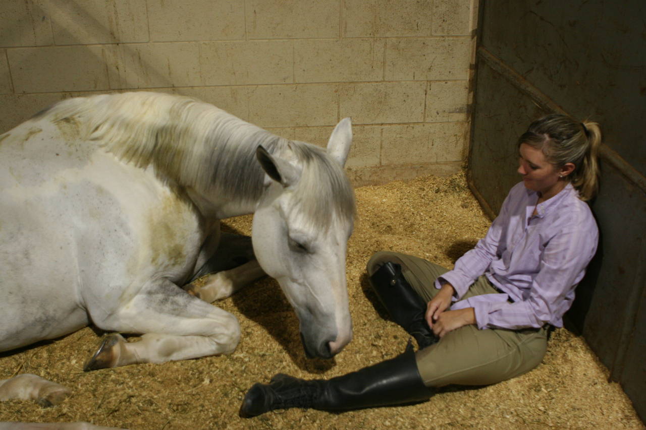 pictures/HorseShows/WacoJune2008/IMG_9846.jpg