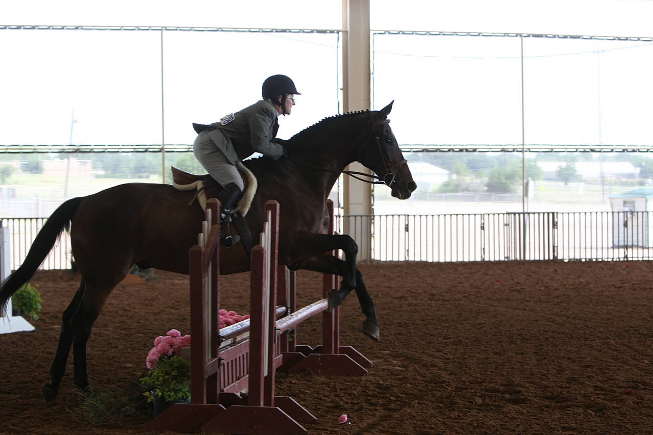 pictures/HorseShows/WacoJune2008/JAM_1117.jpg