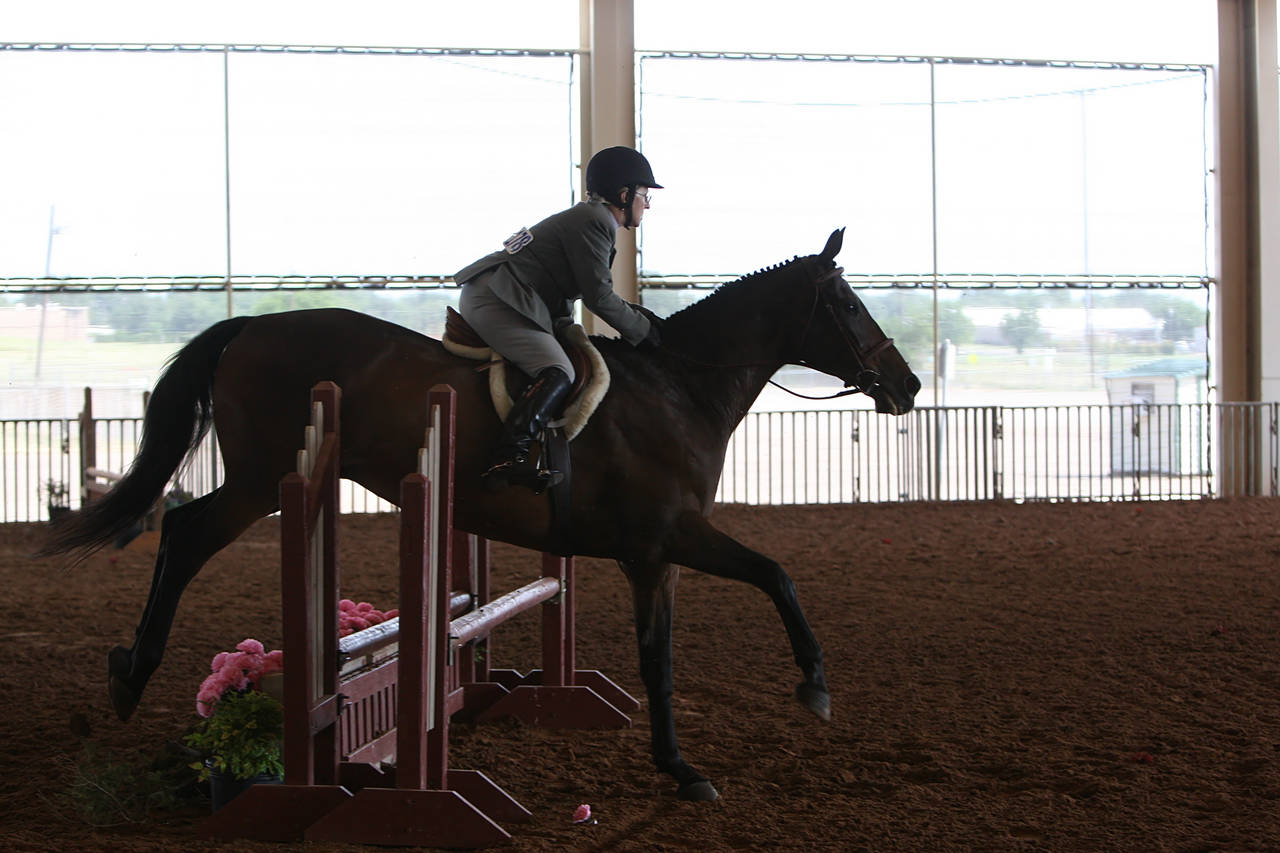 pictures/HorseShows/WacoJune2008/JAM_1118.jpg