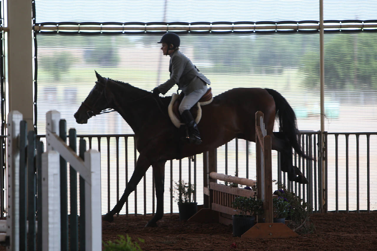 pictures/HorseShows/WacoJune2008/JAM_1120.jpg