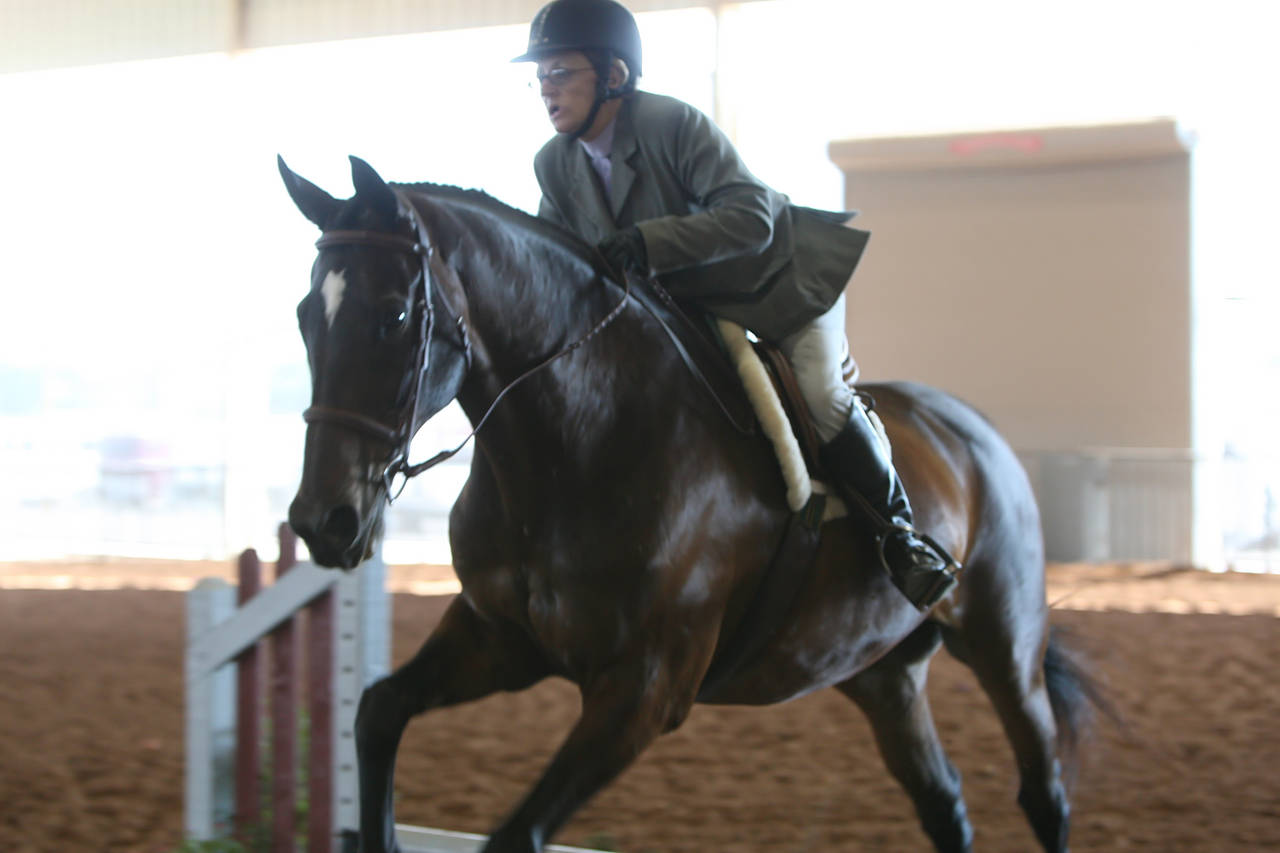 pictures/HorseShows/WacoJune2008/JAM_1124.jpg