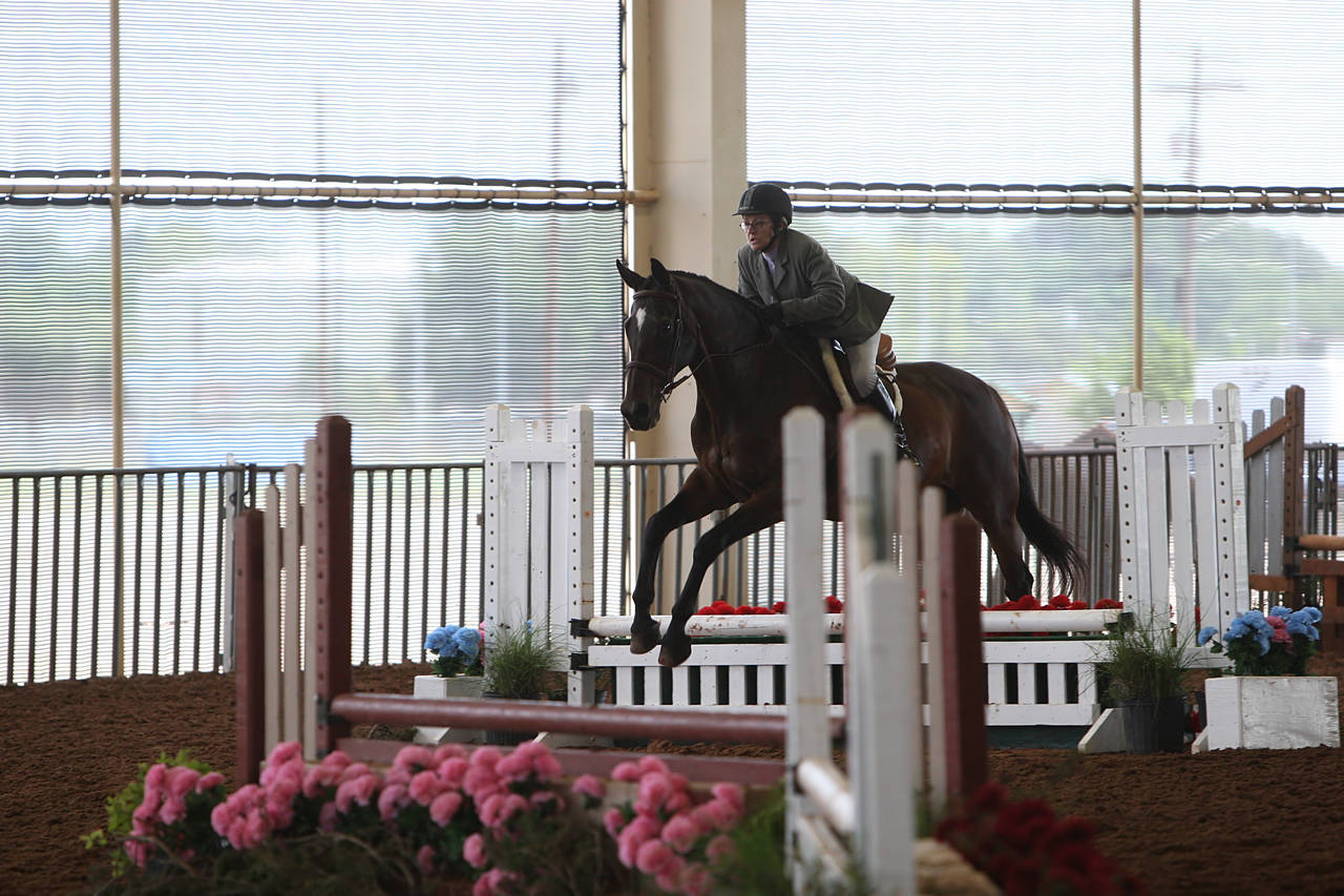 pictures/HorseShows/WacoJune2008/JAM_1129.jpg