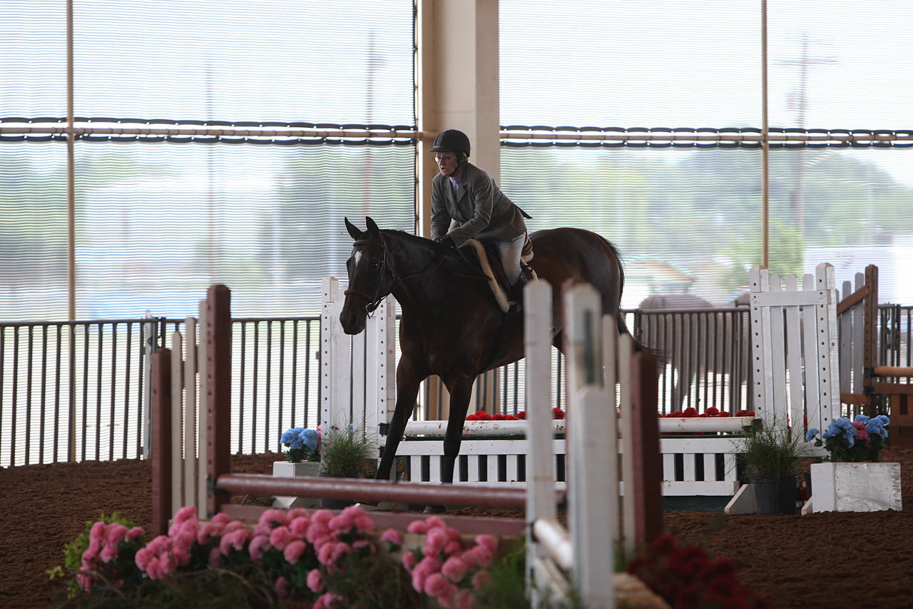 pictures/HorseShows/WacoJune2008/JAM_1130.jpg