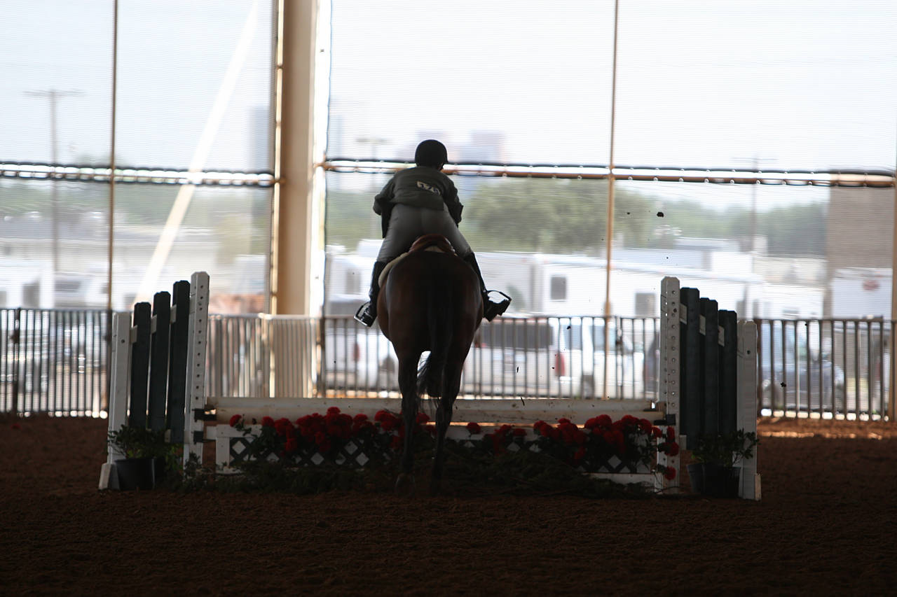 pictures/HorseShows/WacoJune2008/JAM_1131.jpg