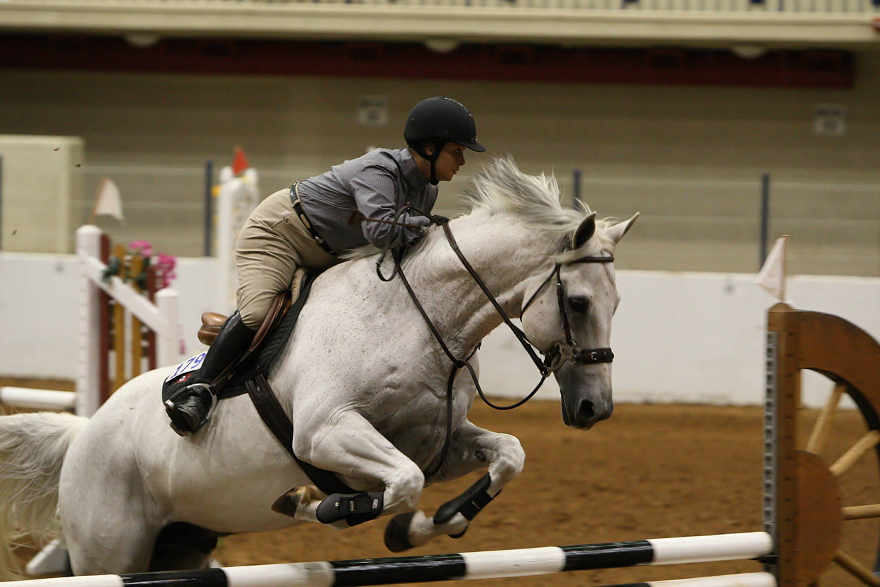 pictures/HorseShows/WacoJune2008/JAM_1162.jpg