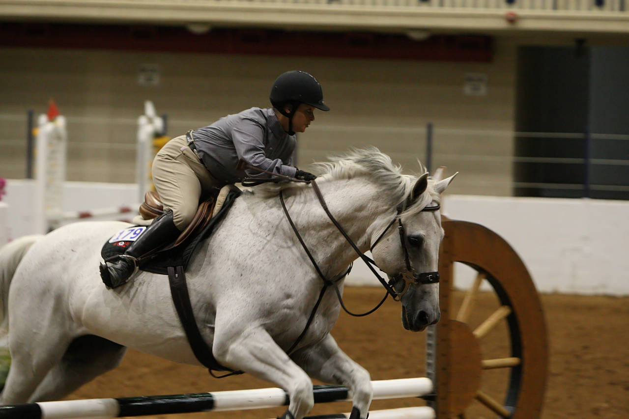 pictures/HorseShows/WacoJune2008/JAM_1163.jpg