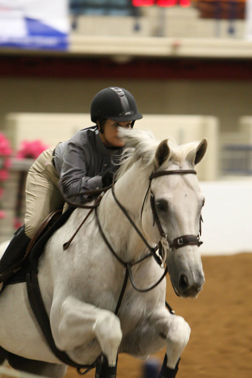 pictures/HorseShows/WacoJune2008/JAM_1170.jpg