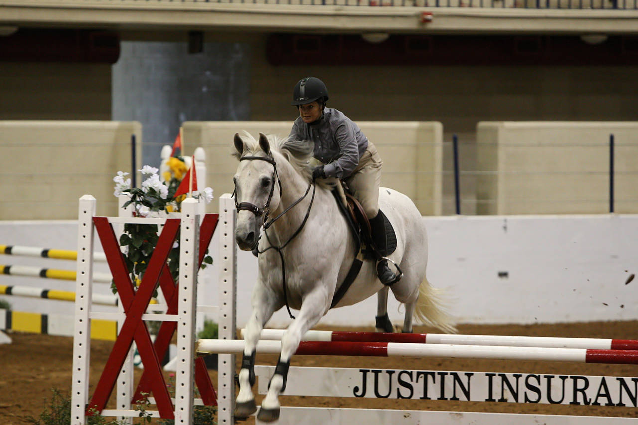 pictures/HorseShows/WacoJune2008/JAM_1173.jpg