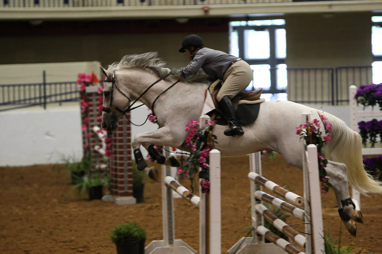 pictures/HorseShows/WacoJune2008/JAM_1176.jpg