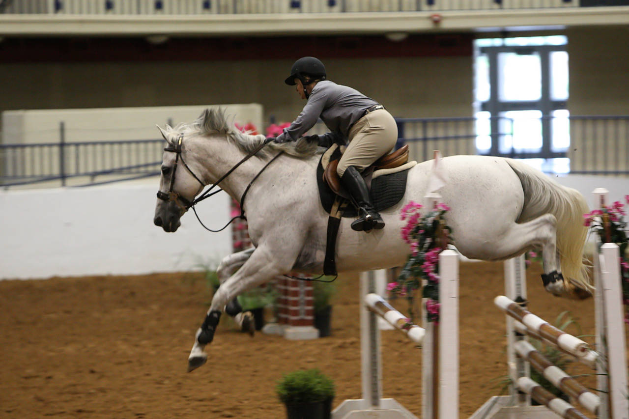 pictures/HorseShows/WacoJune2008/JAM_1177.jpg