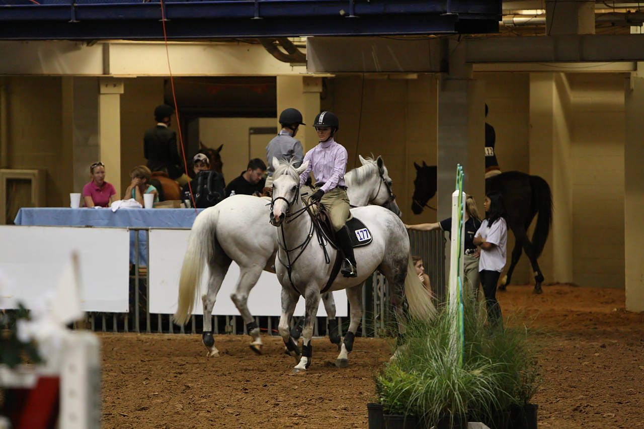 pictures/HorseShows/WacoJune2008/JAM_1181.jpg