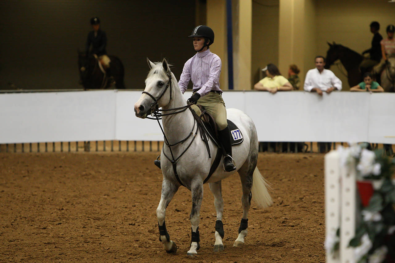 pictures/HorseShows/WacoJune2008/JAM_1182.jpg