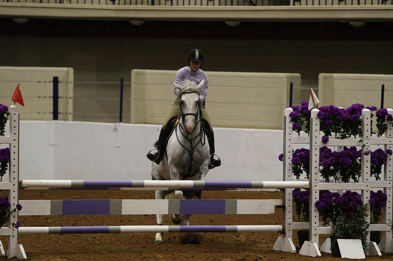 pictures/HorseShows/WacoJune2008/JAM_1184.jpg