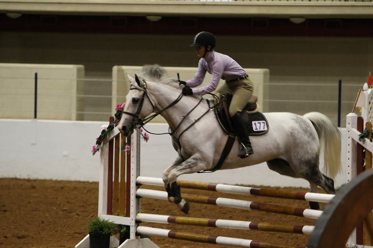 pictures/HorseShows/WacoJune2008/JAM_1188.jpg