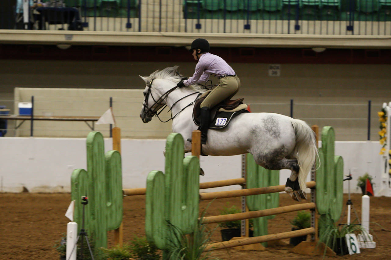 pictures/HorseShows/WacoJune2008/JAM_1198.jpg